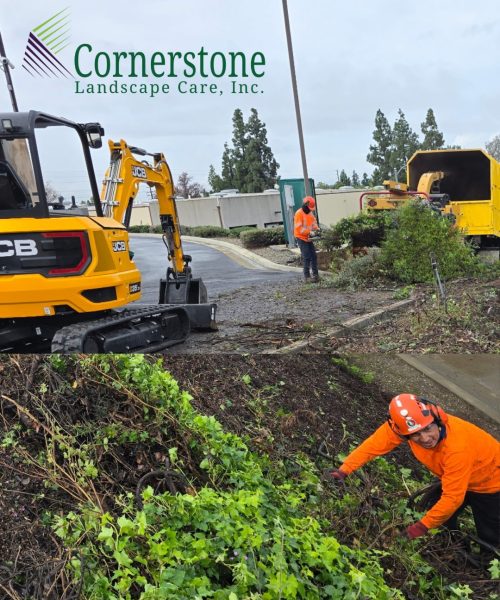 657488227_122179804130794128_4645450428756713529_n